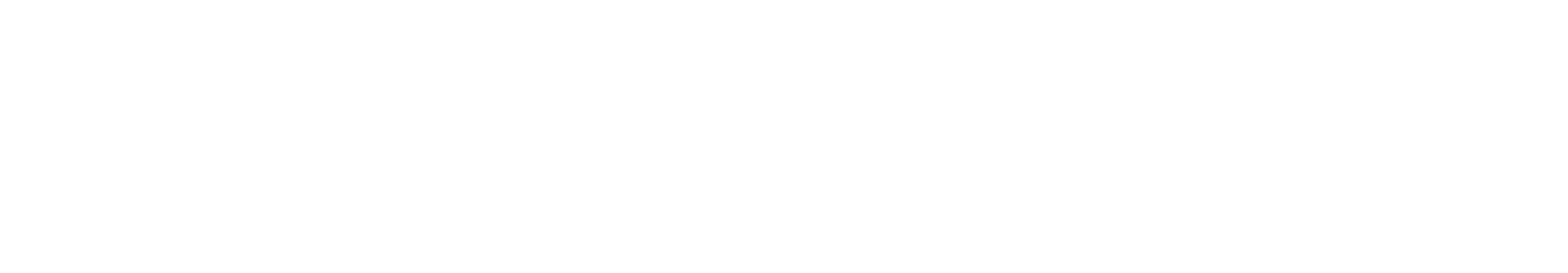 Ping Identity